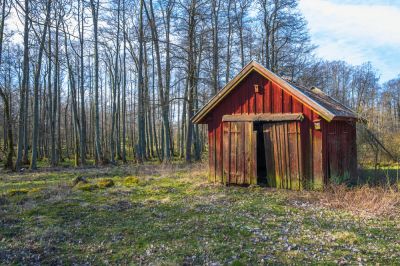 Get Your Shed Demolished and Removed By a Professional Team